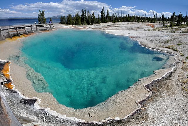 Black Pool